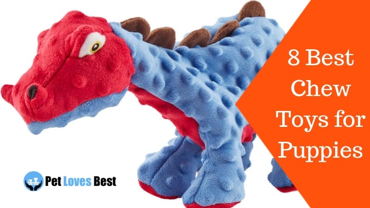 Featured Image 8 Best Chew Toys for Puppies