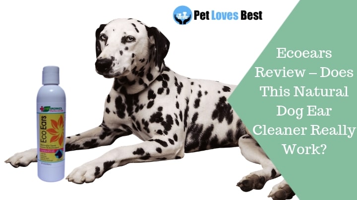Featured Image Ecoears Review – Does This Natural Dog Ear Cleaner Really Work?