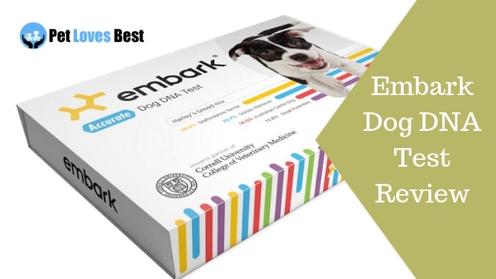 Featured Image Embark Dog DNA Test Review