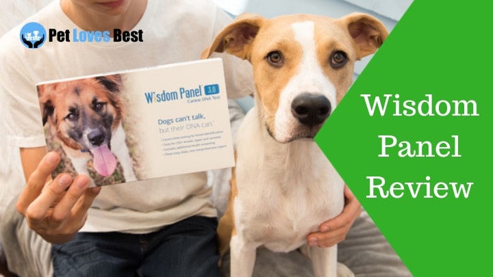 Featured Image Wisdom Panel Review