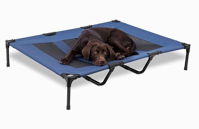 Raised dog bed