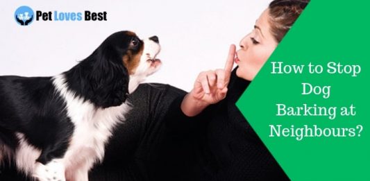 Featured Image How to Stop Dog Barking at Neighbours?
