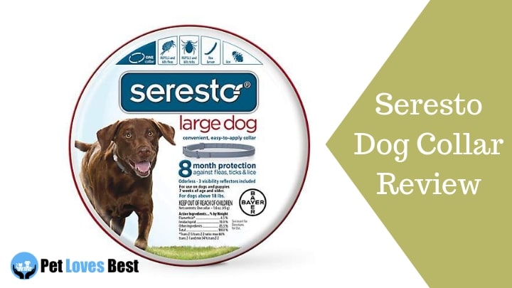 Featured Image Seresto Dog Collar Review