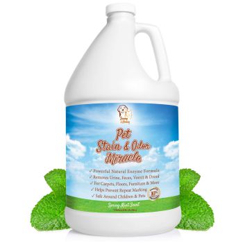 Pet Stain & Odor Remover Enzyme Cleaner