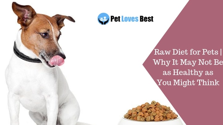 Featured Image Raw Diet for Pets | Why It May Not Be as Healthy as You Might Think