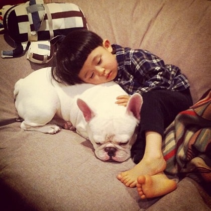 baby and a dog sleeping on a couch
