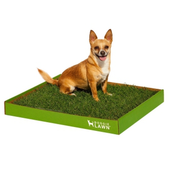 Best Indoor Dog Pottie DoggieLawn Real Grass