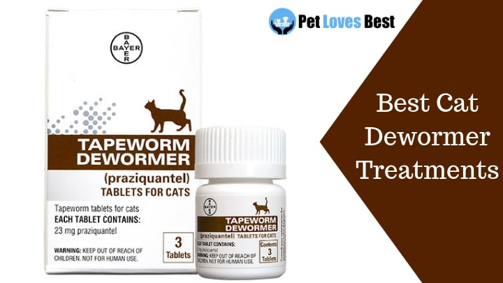 Featured Image Best Cat Dewormer Treatments