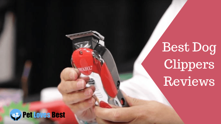 Featured Image Best Dog Clippers Reviews