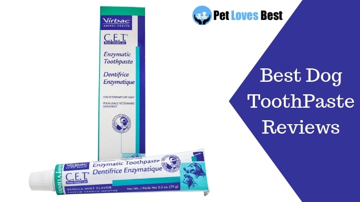 Featured Image Best Dog ToothPaste Reviews