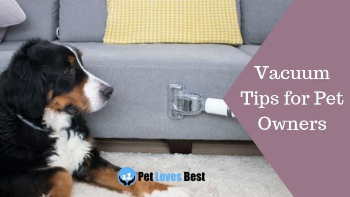 Featured Image Vacuum Tips for Pet Owners