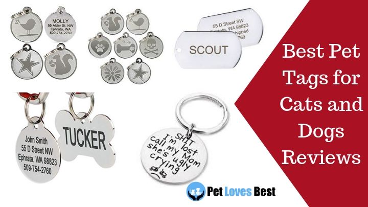 Featured Image Best Pet Tags for Cats and Dogs Reviews