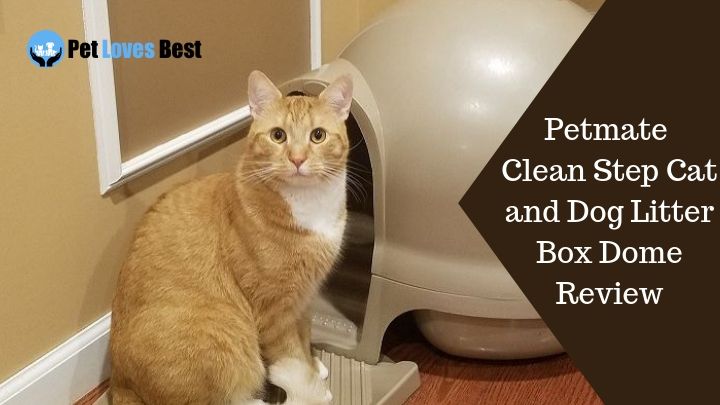 Featured Image Petmate Clean Step Cat and Dog Litter Box Dome Review