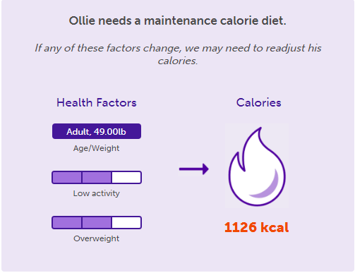 puppo calorie count