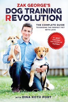 Best Dog Training Book