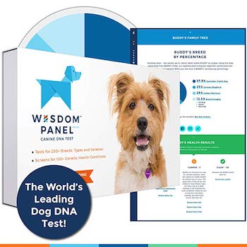 Wisdom Panel Health Canine DNA Test