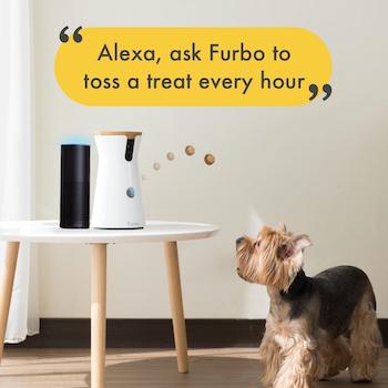 barking alert by Furbo