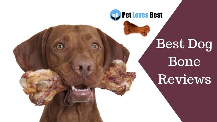Featured Image Best Dog Bone Reviews