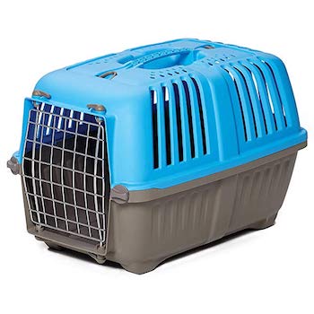 Best Travel Carrier for Dogs