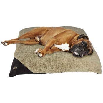 ALL FOR PAWS Lambswool Large Size Pillow Bed for Dogs