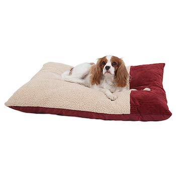 Aspen Pet Self Warming Dog Pillow Beds