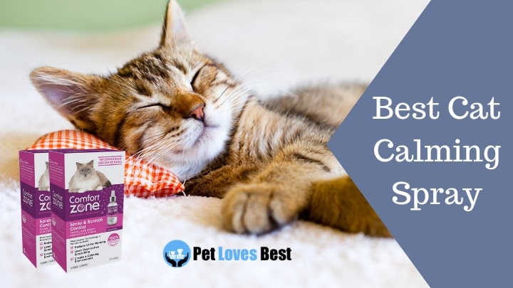 Best Cat Calming Spray