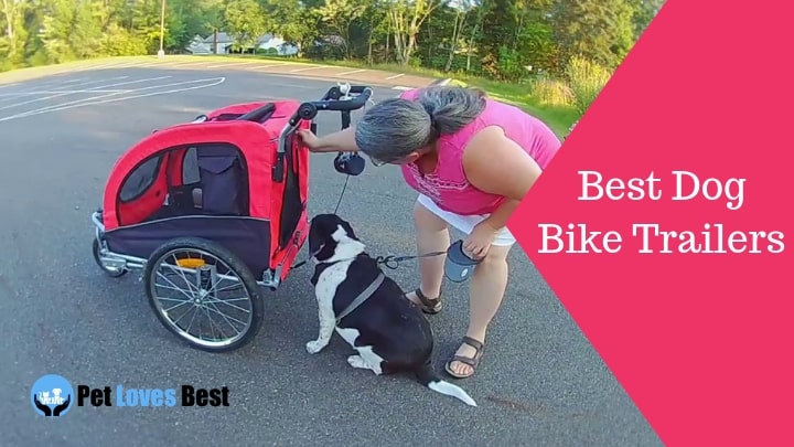 Best Dog Bike Trailers
