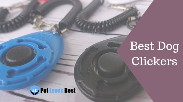 Best Dog Clickers Featured Image