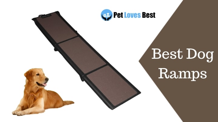 Best Dog Ramps Featured Image