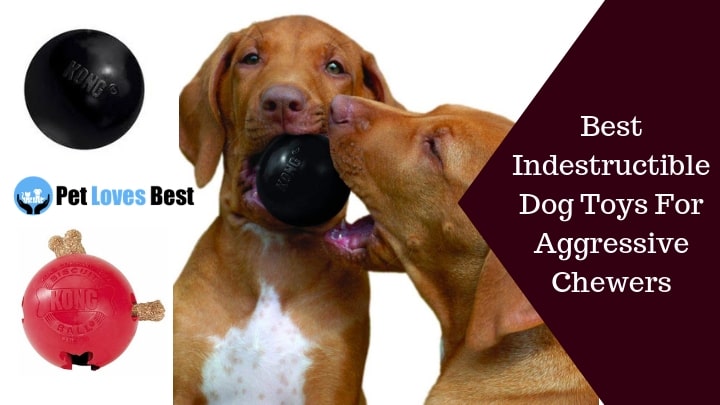 Best Indestructible Dog Toys For Aggressive Chewers Featured Image