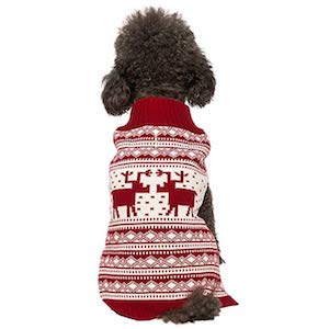 Best Dog Sweater for Christmas