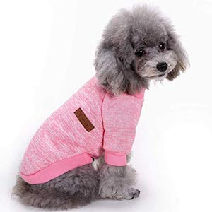 dog sweater for small dogs