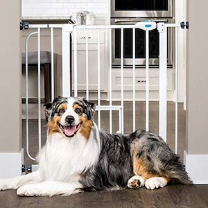 Carlson Extra Wide Walk Through Dog Gate with Small Pet Door