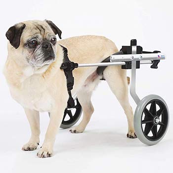 K9 Carts Dog Wheelchair designed & tested by Veterinarian