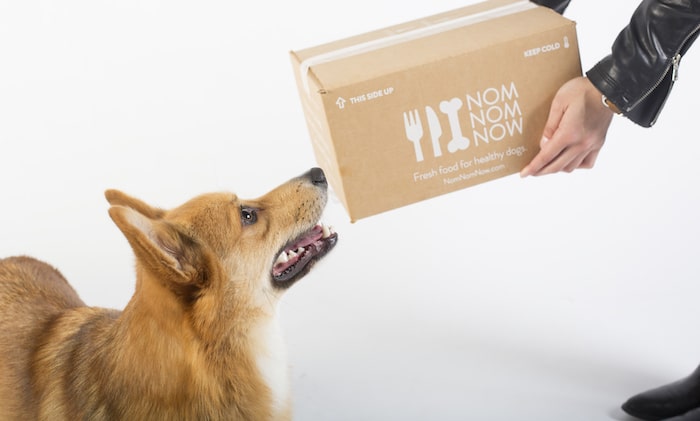 NomNomNow Fresh Dog Food Delivery Service Review