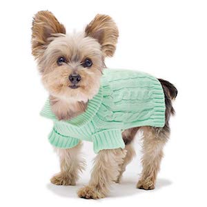 Best Sweater for small dogs