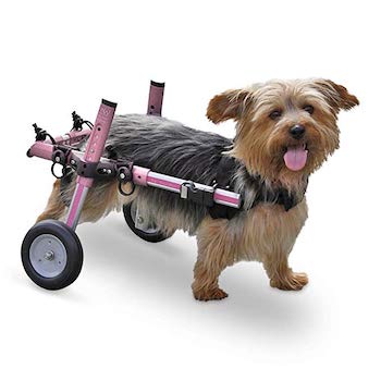 Walkin' Wheels Dog Wheelchair for Small Dogs | Veterinarian Approved