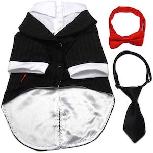 Tuxedo for Large Dogs