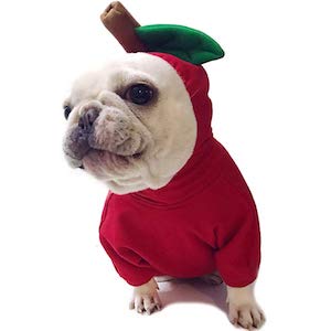 Amakunft Apple Pet Costume