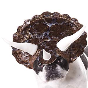Animal Planet Triceratops for Dogs