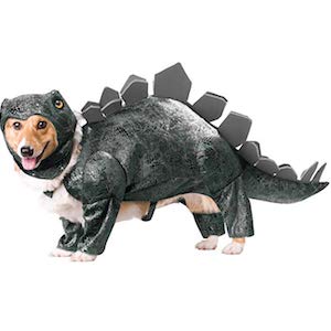 Dinosaur Costume for Golden Retriever