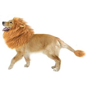 CPPSLEE Halloween Lion Mane Wig Costume