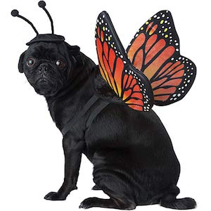 California Costumes Monarch Butterfly for Dog