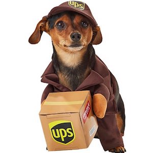 California UPS Delivery Driver Outfit