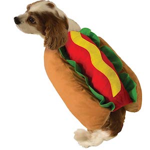 Cute Hot Dog Outfit for Dog