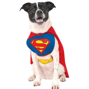 DC Comics Superman Cape Dog Costume