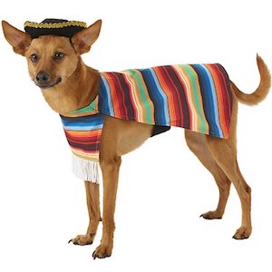 Frisco Fiesta Serape Dog & Cat Costume
