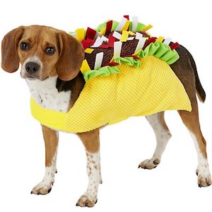 Frisco Taco Dog Costume