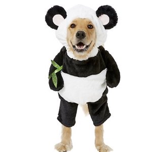Frisco Walking Panda Dog Wear