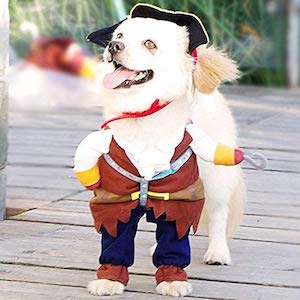 Small Dog Halloween Costume